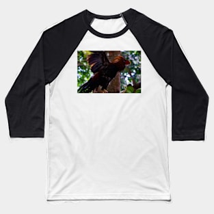 a rooster in the farm Baseball T-Shirt